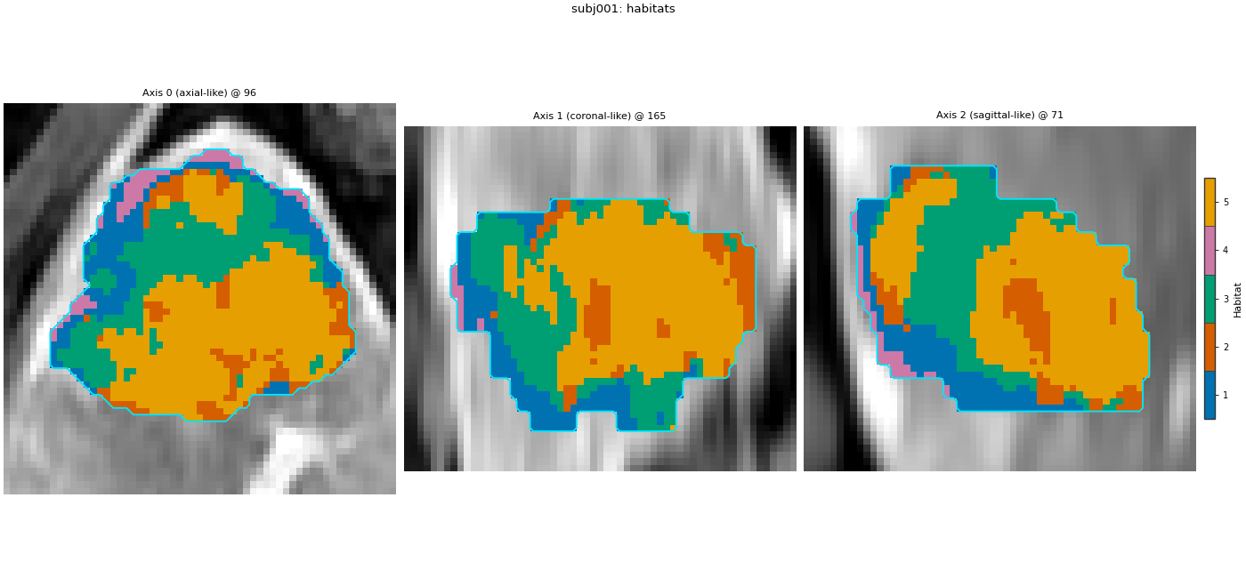 subj001: habitats, Axis 0 (axial-like) @ 96, Axis 1 (coronal-like) @ 165, Axis 2 (sagittal-like) @ 71
