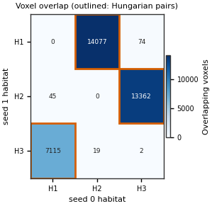 Voxel overlap (outlined: Hungarian pairs)
