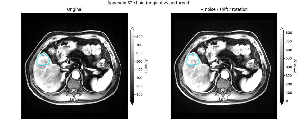 Appendix S2 chain (original vs perturbed), Original, + noise / shift / rotation