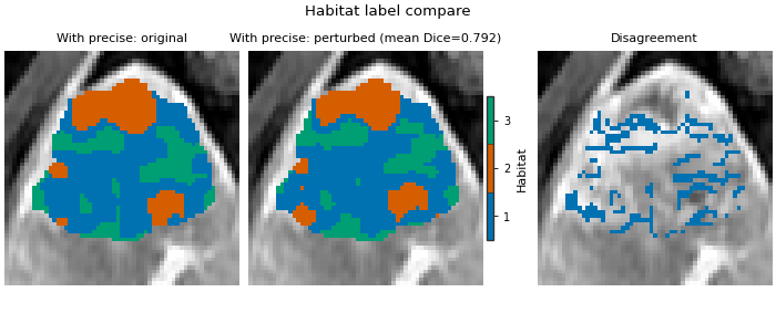 Habitat label compare, With precise: original, With precise: perturbed (mean Dice=0.792), Disagreement
