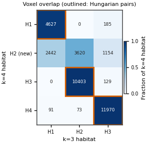 Voxel overlap (outlined: Hungarian pairs)