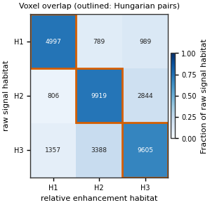 Voxel overlap (outlined: Hungarian pairs)