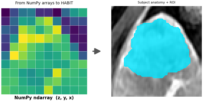 From NumPy arrays to HABIT, Subject anatomy + ROI