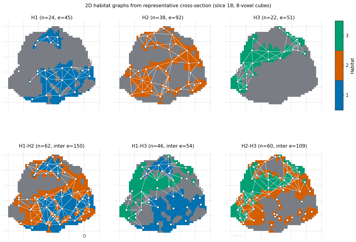 2D habitat graphs from representative cross-section (slice 18; 8-voxel cubes), H1 (n=24, e=45), H2 (n=38, e=92), H3 (n=22, e=51), H1-H2 (n=62, inter e=150), H1-H3 (n=46, inter e=54), H2-H3 (n=60, inter e=109)