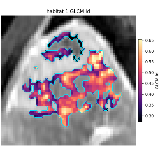 habitat 1 GLCM Id