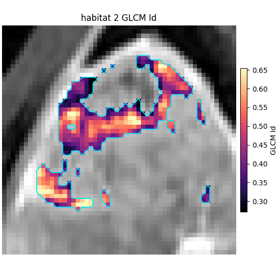 habitat 2 GLCM Id