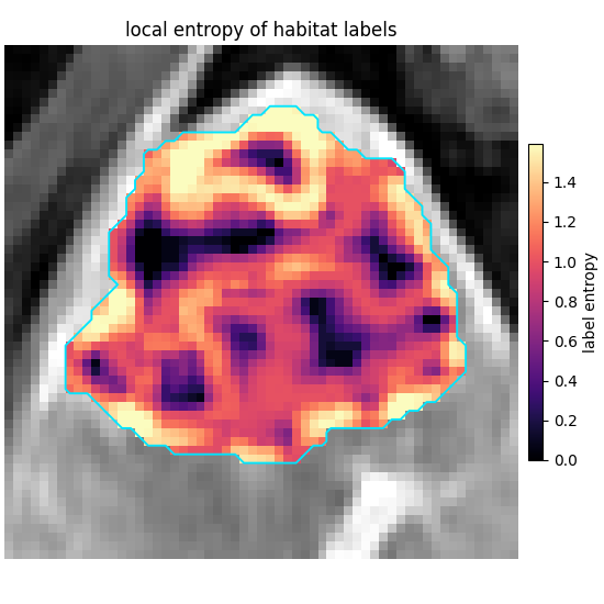local entropy of habitat labels